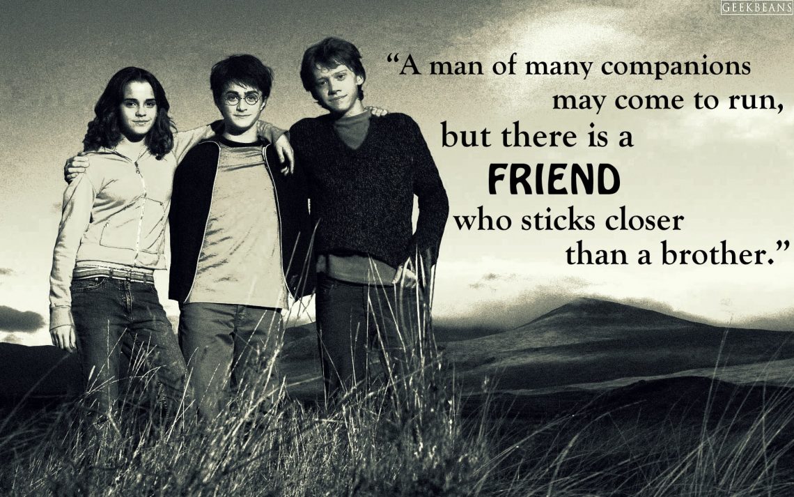 Beautiful friendship in Harry Potter