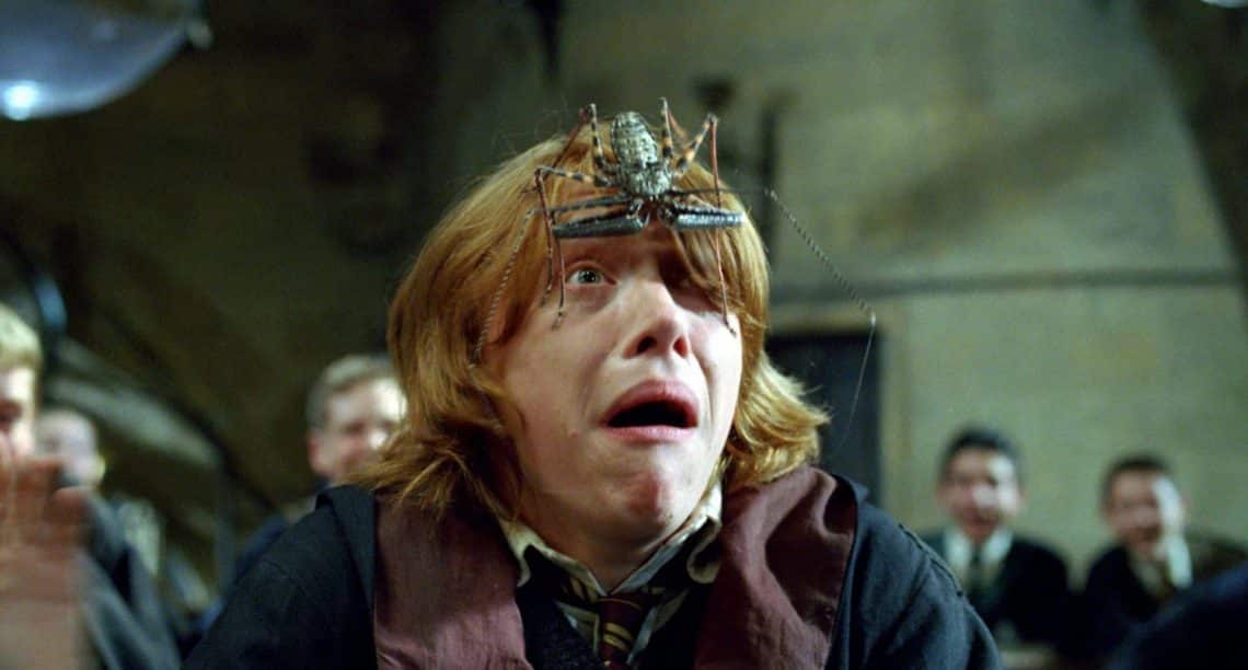 Ronald Weasley in Harry potter