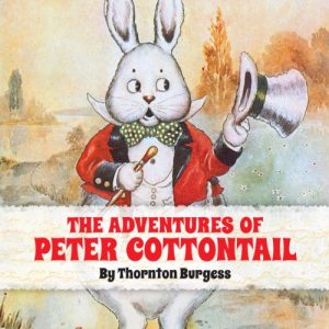 The Adventures of Peter Cottontail Audiobook - The Bedtime Story Books