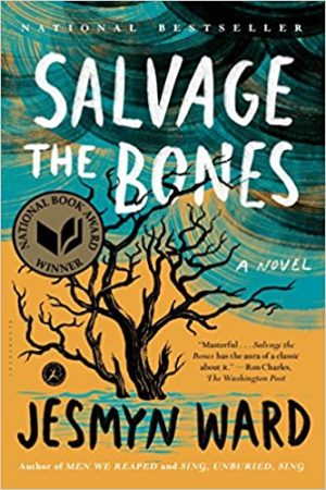 Salvage the Bones Audiobook - Bois Sauvage