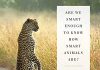 Are We Smart Enough to Know How Smart Animals Are? Audiobook by Frans de Waal