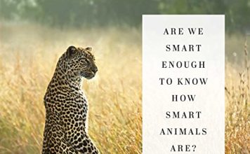 Are We Smart Enough to Know How Smart Animals Are? Audiobook by Frans de Waal