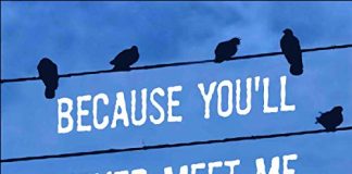 Because You'll Never Meet Me Audiobook by Leah Thomas