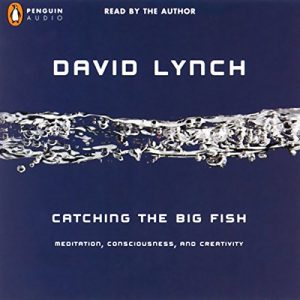 Catching the Big Fish Audiobook by David Lynch