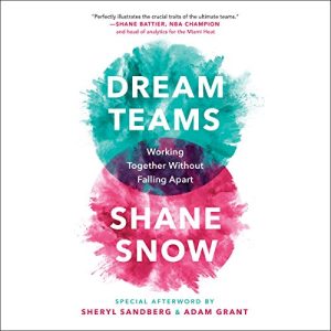 Dream Teams Audiobook by Shane Snow