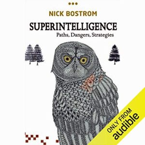 Superintelligence Audiobook by Nick Bostrom