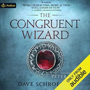 The Congruent Wizard Audiobook - The Congruent Mage Series