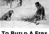 To Build a Fire Audiobook by Jack London