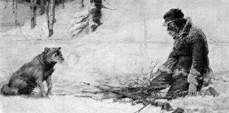 To Build a Fire Audiobook by Jack London