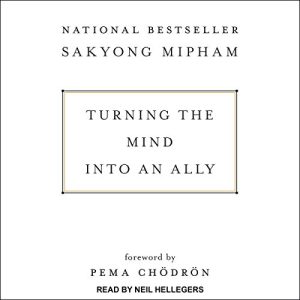 Turning the Mind Into an Ally Audiobook by Sakyong Mipham