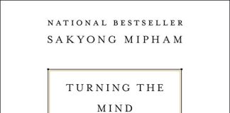 Turning the Mind Into an Ally Audiobook by Sakyong Mipham
